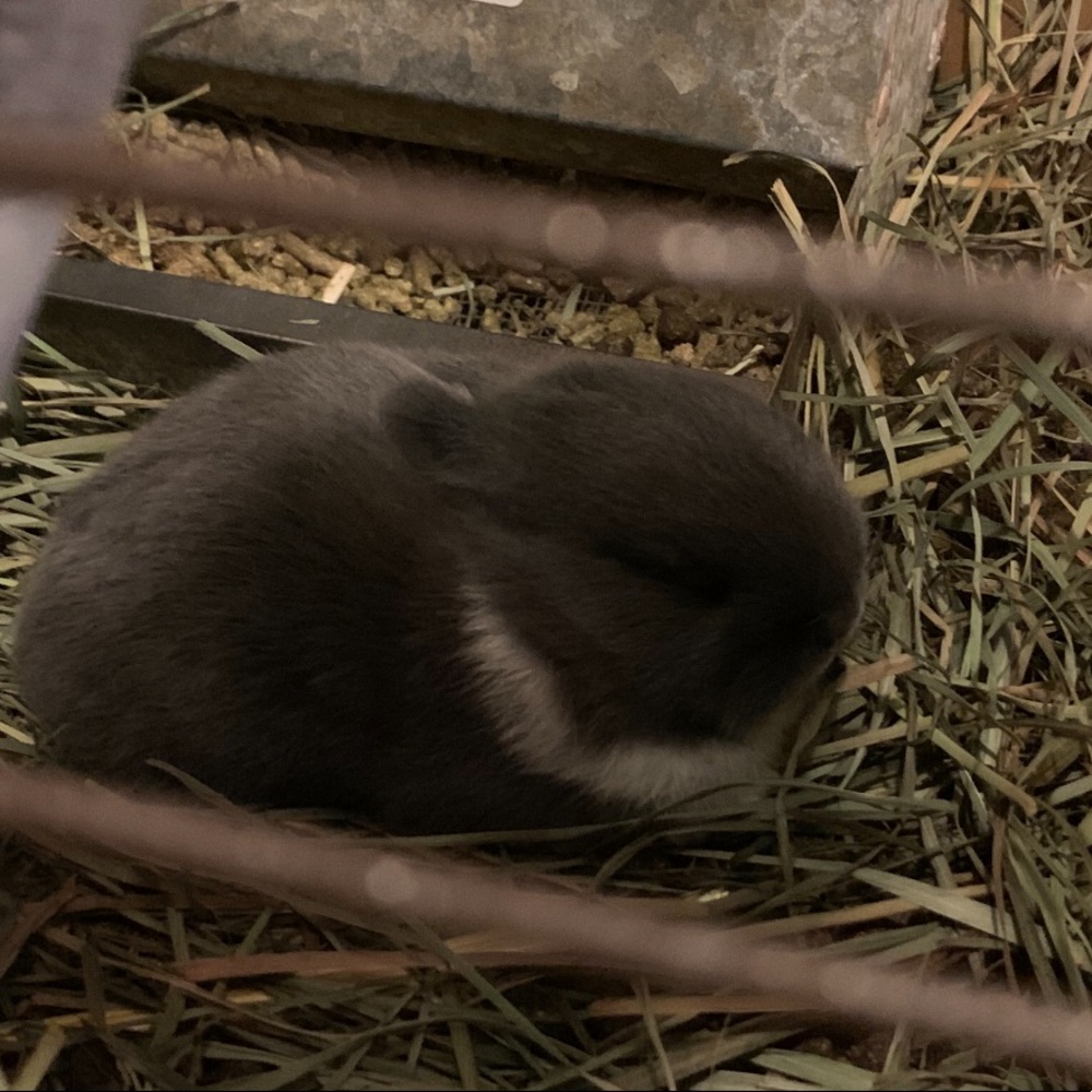 Meet your Posher, Madison